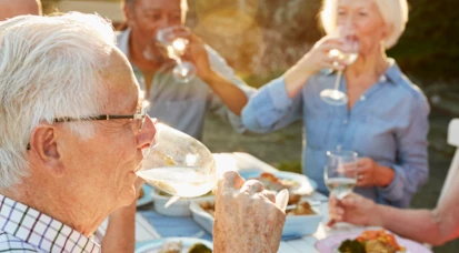 Group of friends having a dinner party